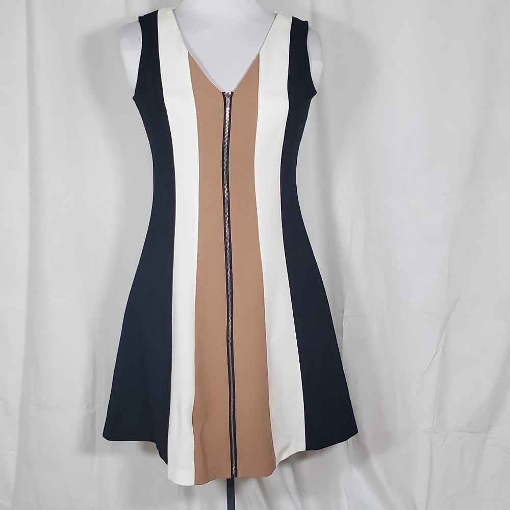 Colorblock Ann Taylor Dress